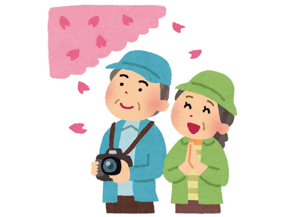 202002河津桜